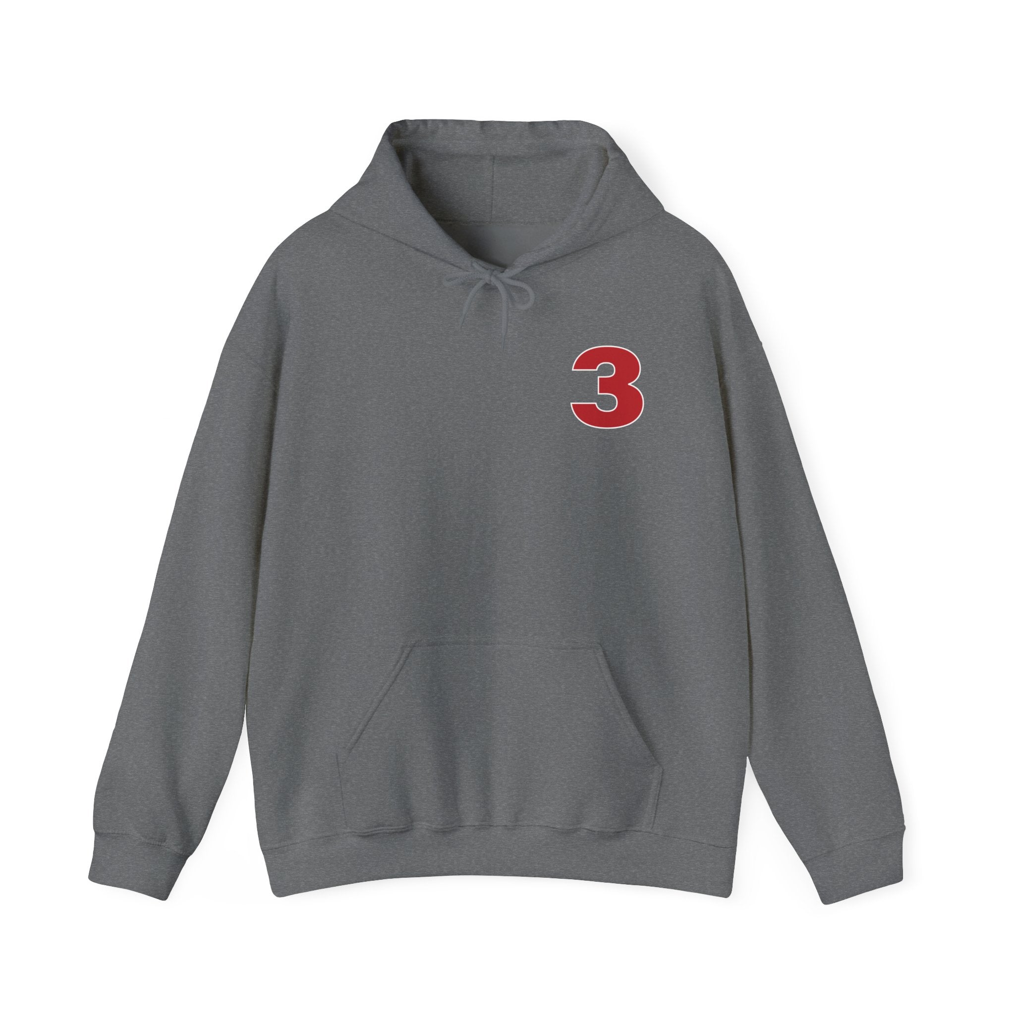 Arlington Station 3 Front/ Rhino Back - Gildan Heavy Blend™ Hooded Sweatshirt