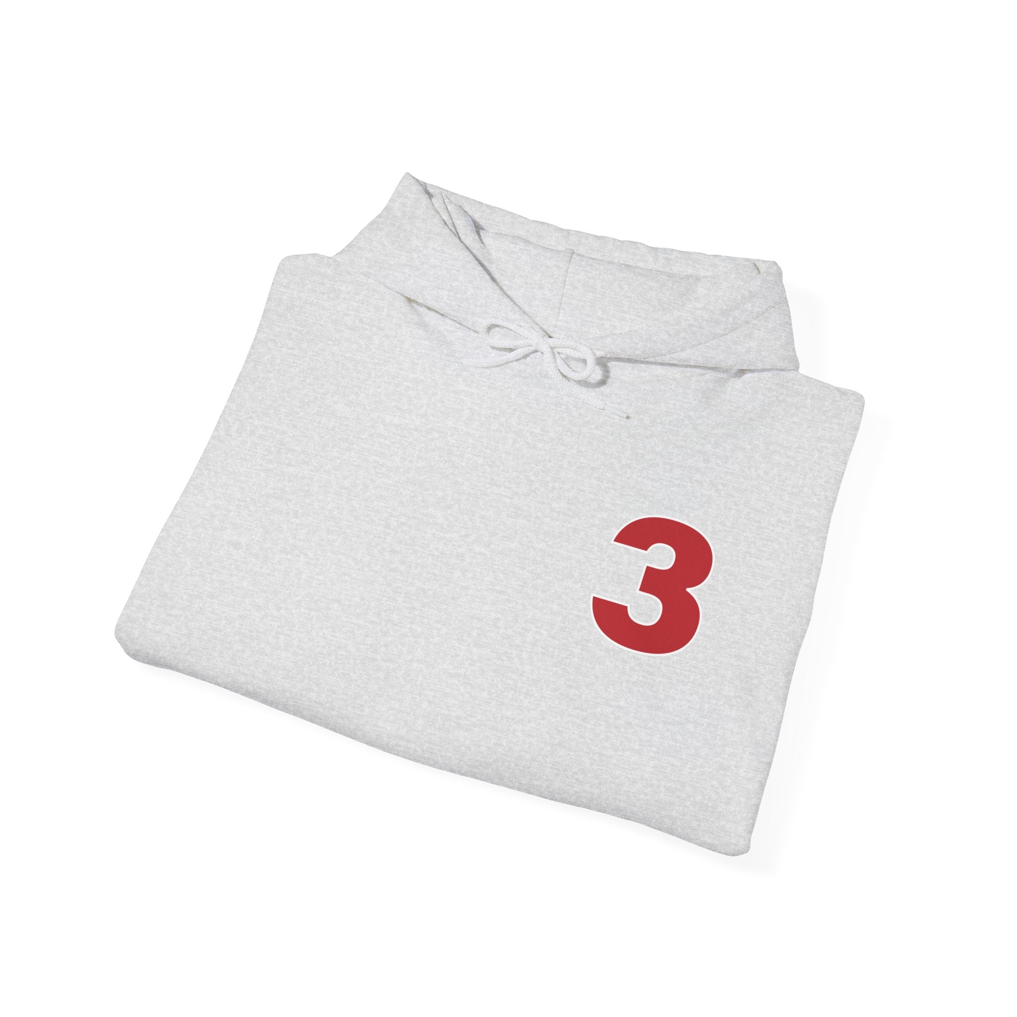 Arlington Station 3 Front/ Rhino Back - Gildan Heavy Blend™ Hooded Sweatshirt