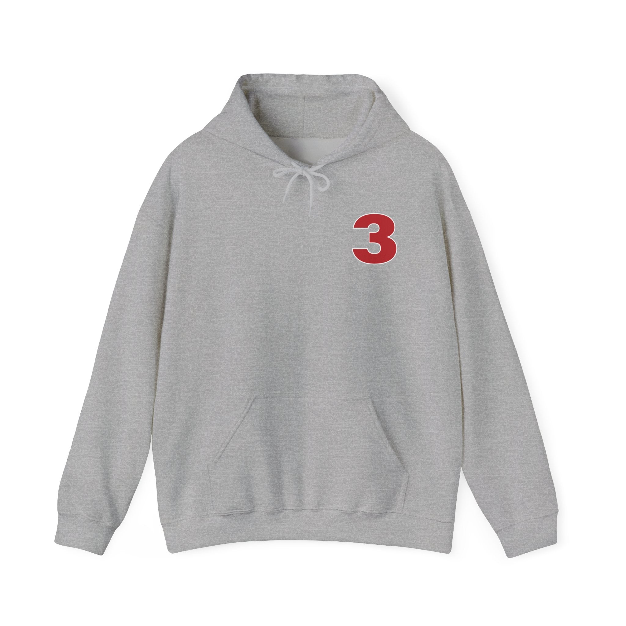 Arlington Station 3 Front/ Rhino Back - Gildan Heavy Blend™ Hooded Sweatshirt