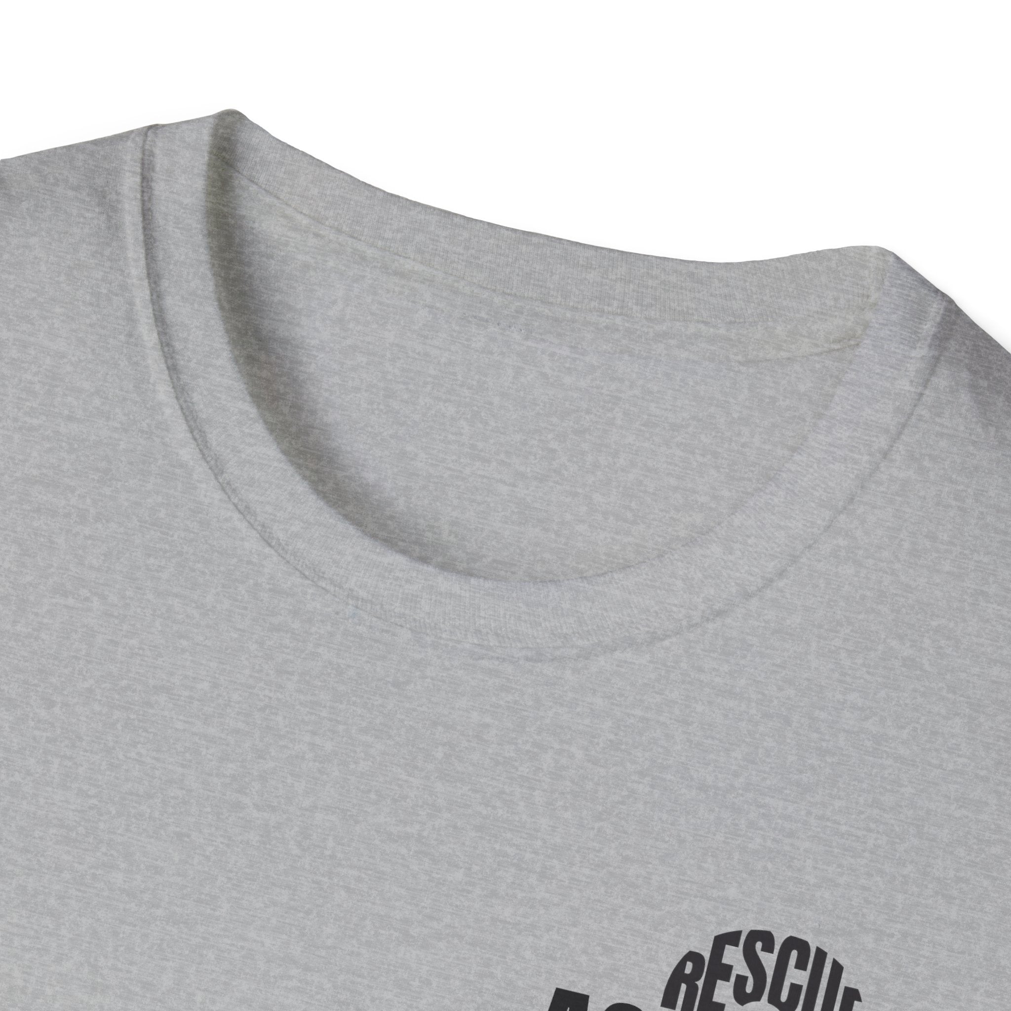 Copy of Copy of Hollywood  - Gildan Soft Cotton Softstyle T-Shirt